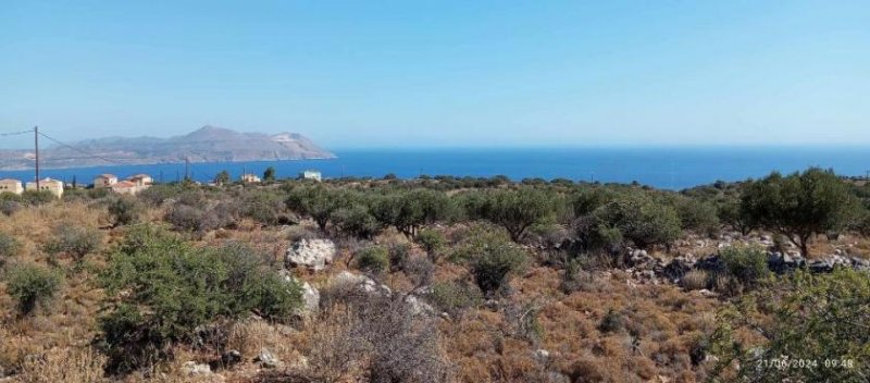 Kokkino Chorio Kreta, Kokkino Chorio: Grundstück mit uneingeschränktem Meerblick zu verkaufen Grundstück kaufen